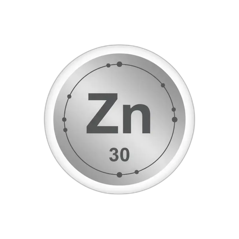 Zinc - mineral esencial para la regeneración